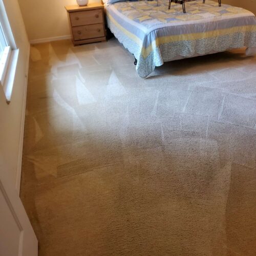 carpetcleaningfresh